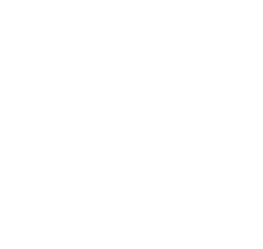 FFT-logo-_-horizontaal-_-witkopie1